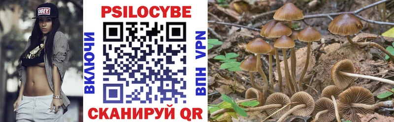Купить где  Подпорожье  Галлюциногенные грибы мухоморы 
